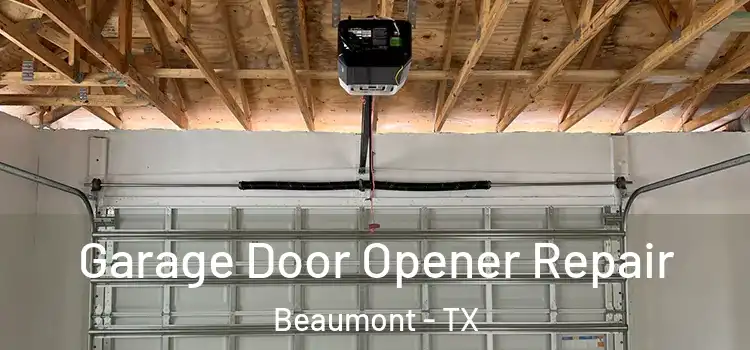  Garage Door Opener Repair Beaumont - TX