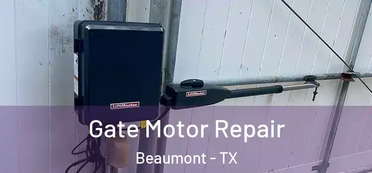 Gate Motor Repair Beaumont - TX