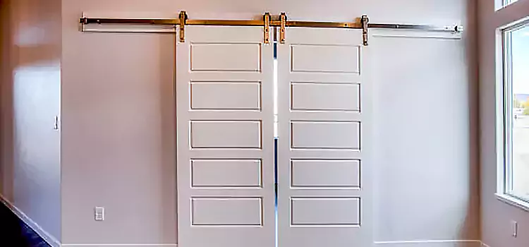 Glass Barn Door with Installation Hardware Kit Beaumont