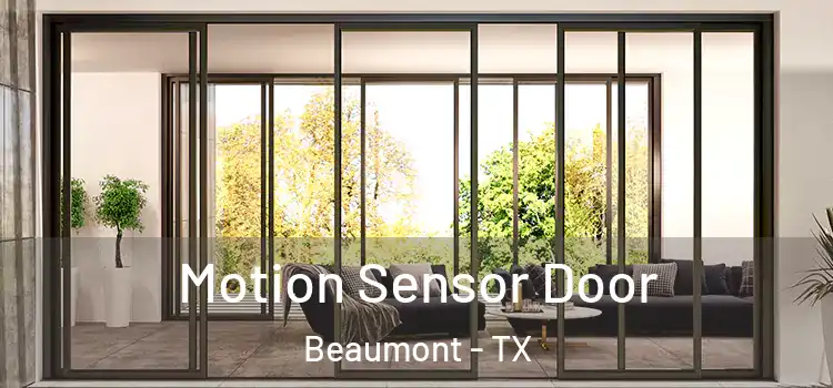 Motion Sensor Door Beaumont - TX